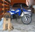 13v_transport