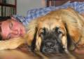24v_trotter Vilar med matte. Vem �r tr�ttast, det �r fr�gan? 24 v gammal och s� stor...