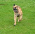 28v_lydn2 Inkallning �r s� KUUUL!!!