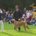 36v_Sofiero3 F�r domen p� Sofiero-utst�llningen. Husse vill hem, men jag tycker det �r r�tt OK, jag bajsade ju i ringen...